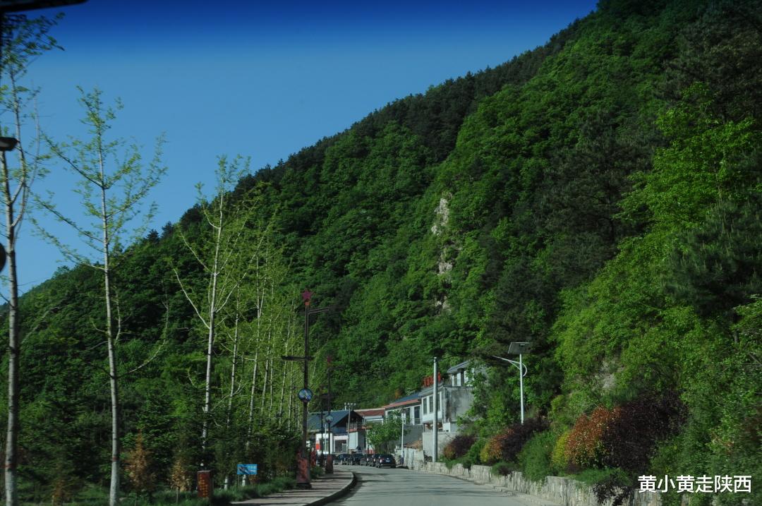 秦岭|终于走通这条穿越秦岭的“密道”！逛古镇，溯河源，翻山岭，太美