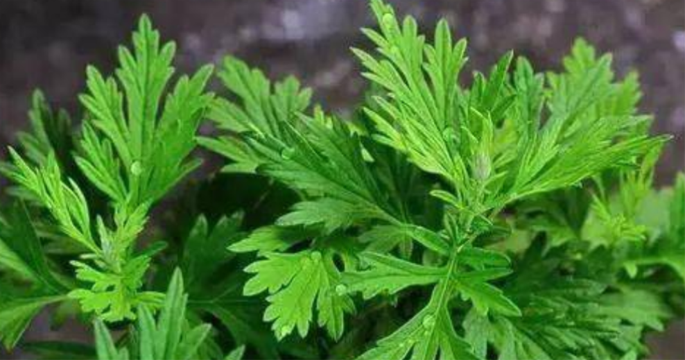 敬业|敬业是一种人生态度