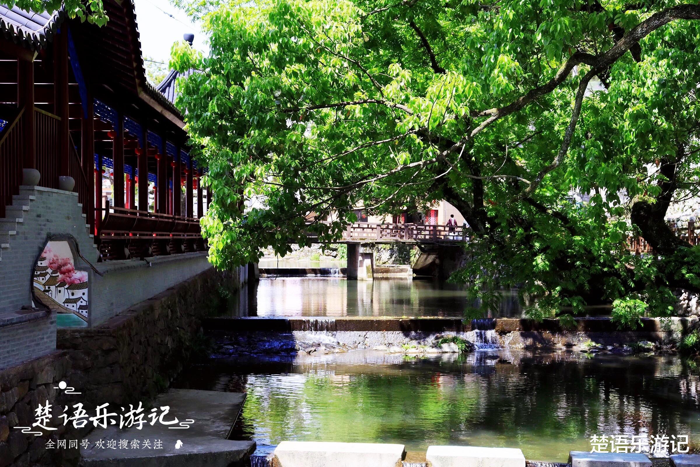 宁波|藏于山坳里的古村,树映清溪、古道众多,原来是宁波的香格里拉?