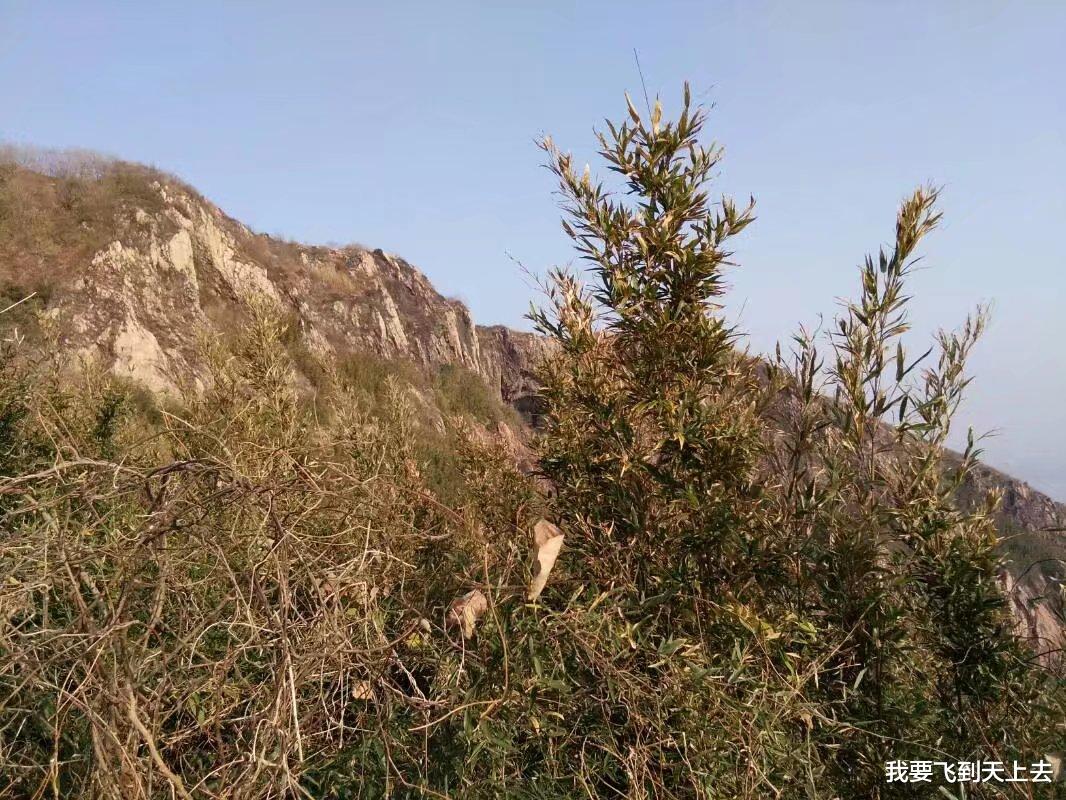 故事：19岁男子在山上昏倒，25岁女子将他救回家，两人生下孩子