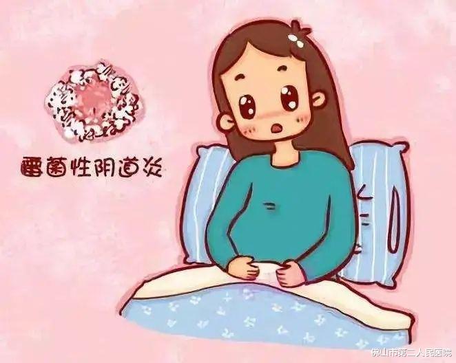 |得了霉菌性阴道炎怎么办?