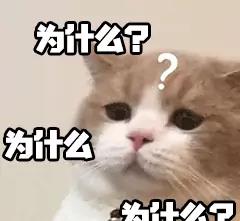 大学生|同是心理师，为什么《沉睡花园》“躺赢”？