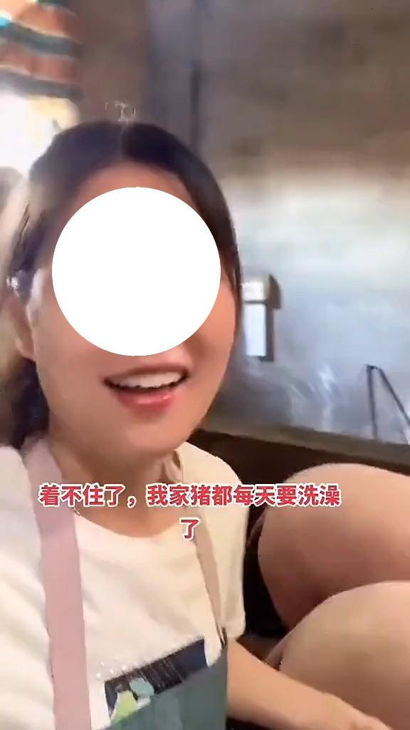 女子为提高家里收入,选择畜养两头母猪,结果每天累得苦不堪言
