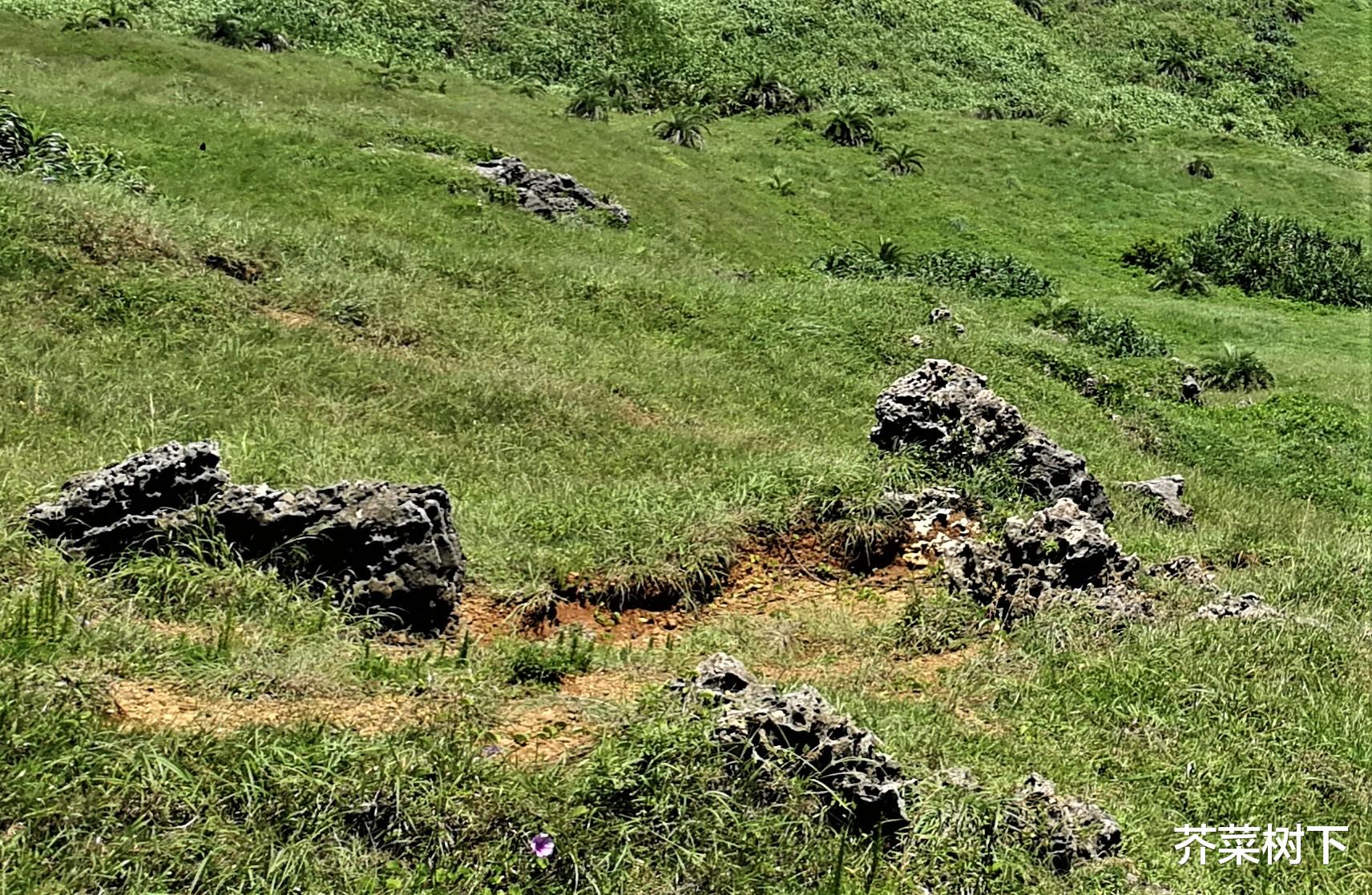 动力|既然处处卷,何不主动些