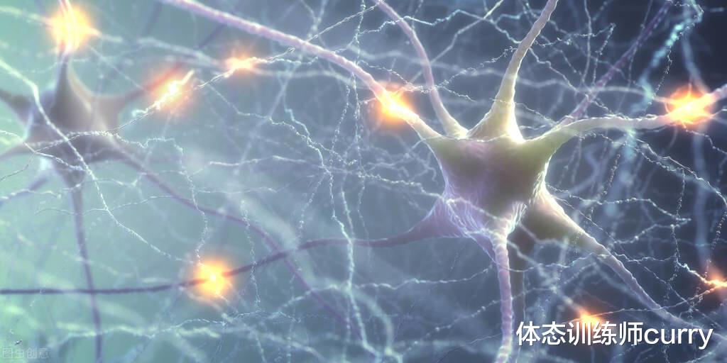 蛋白质|解析|什么因素决定了您的训练频率?以及加速身体恢复的7种方法