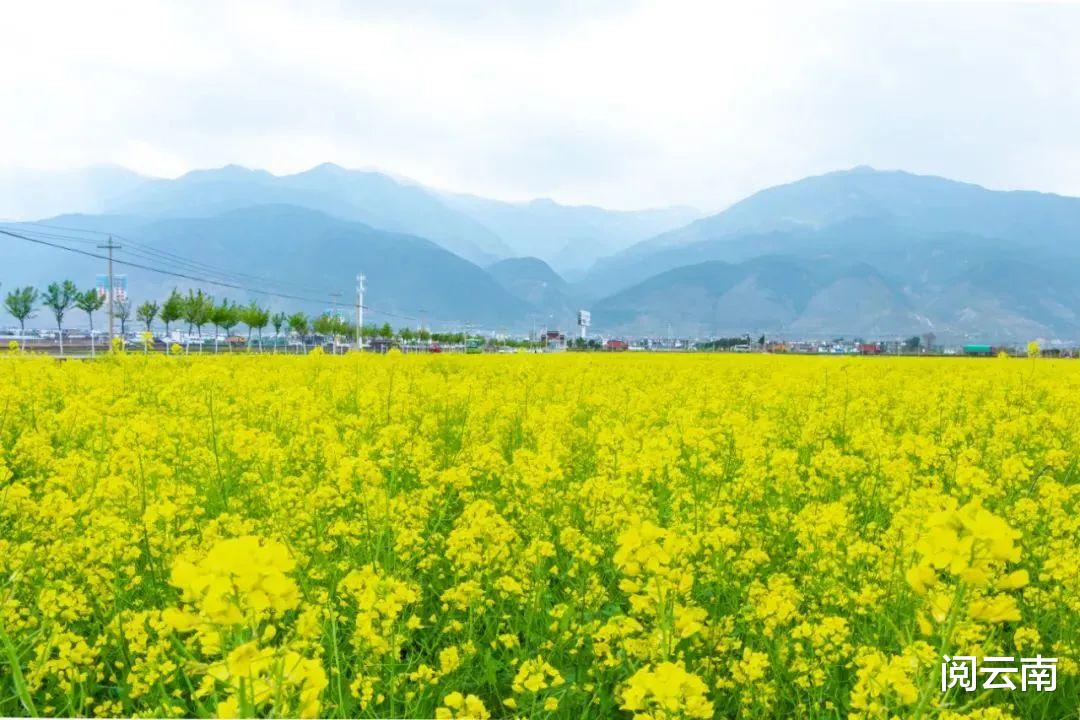 |大理热门旅游行程：自驾洱海西线和东线，赏瑰丽“海村风光”
