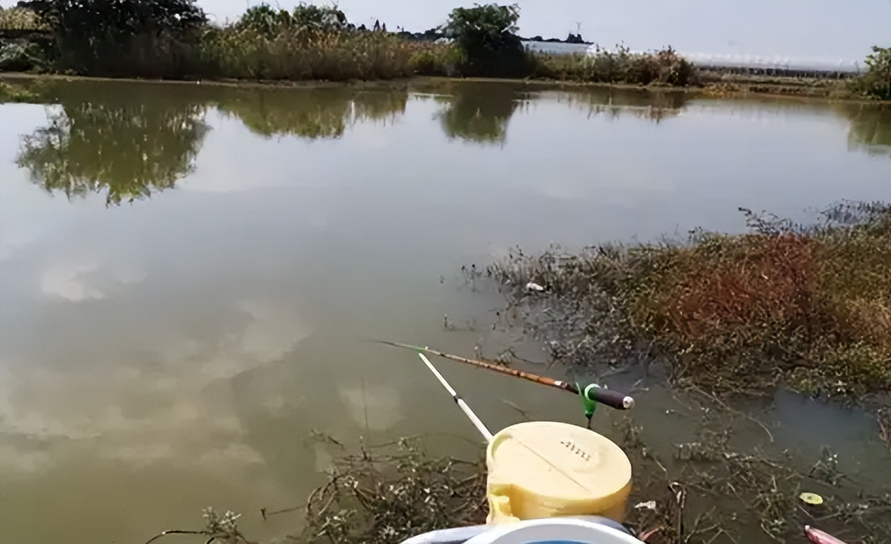 饵料|伏天到,大鱼的“藏身地”在这4处,抢到大鱼上不停,渔获不用愁