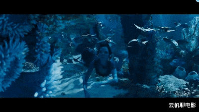 阿凡达2|全球票房第一的电影终于迎来续集!13年后,卡神归来