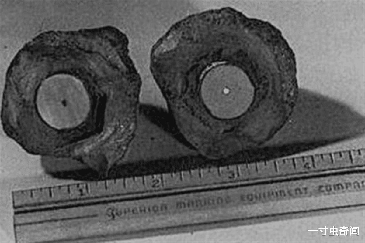 1513年的南极洲地图?60万年前的火花塞?史前文明真实存在过吗?