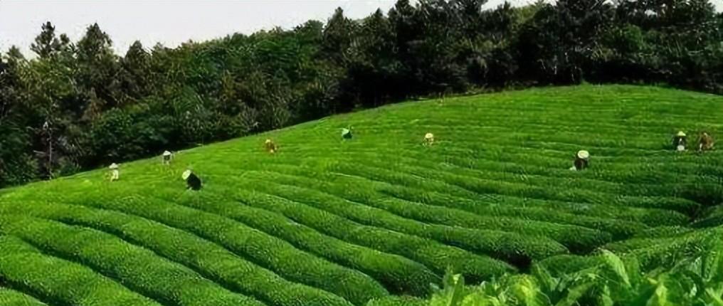 合肥|合肥最高的山，不是大蜀山，而是庐江县的这座山寨