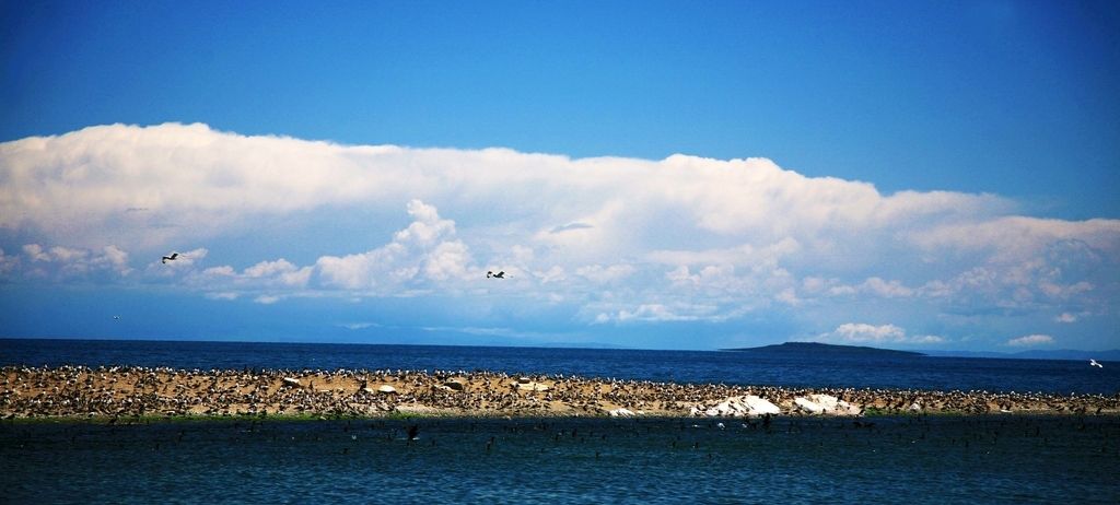 |中国最美的湖、如湖如海的美景、酷暑度假好去处——青海省青海湖