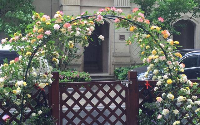 福州|都说一楼带院子好，可以打造小花园，但两年后，那叫一个苦不堪言