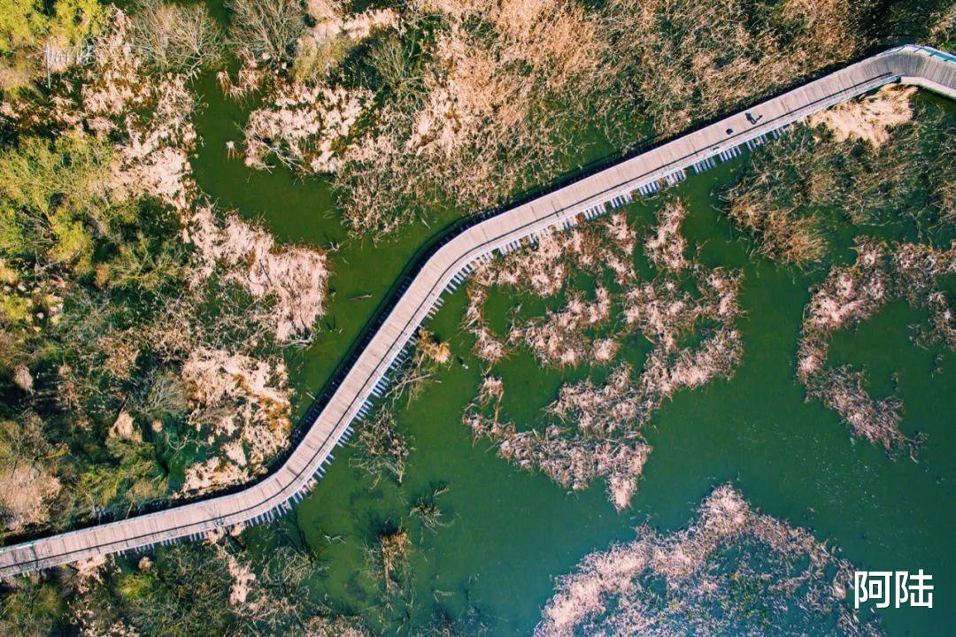 江洋|这个用西湖淤泥堆积出来的生态公园，风景优美却略显孤寂，游客少得可怜