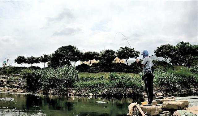 饵料|秋季野钓如何找到好钓位?记住4要4不要,竿竿是大鲫鱼