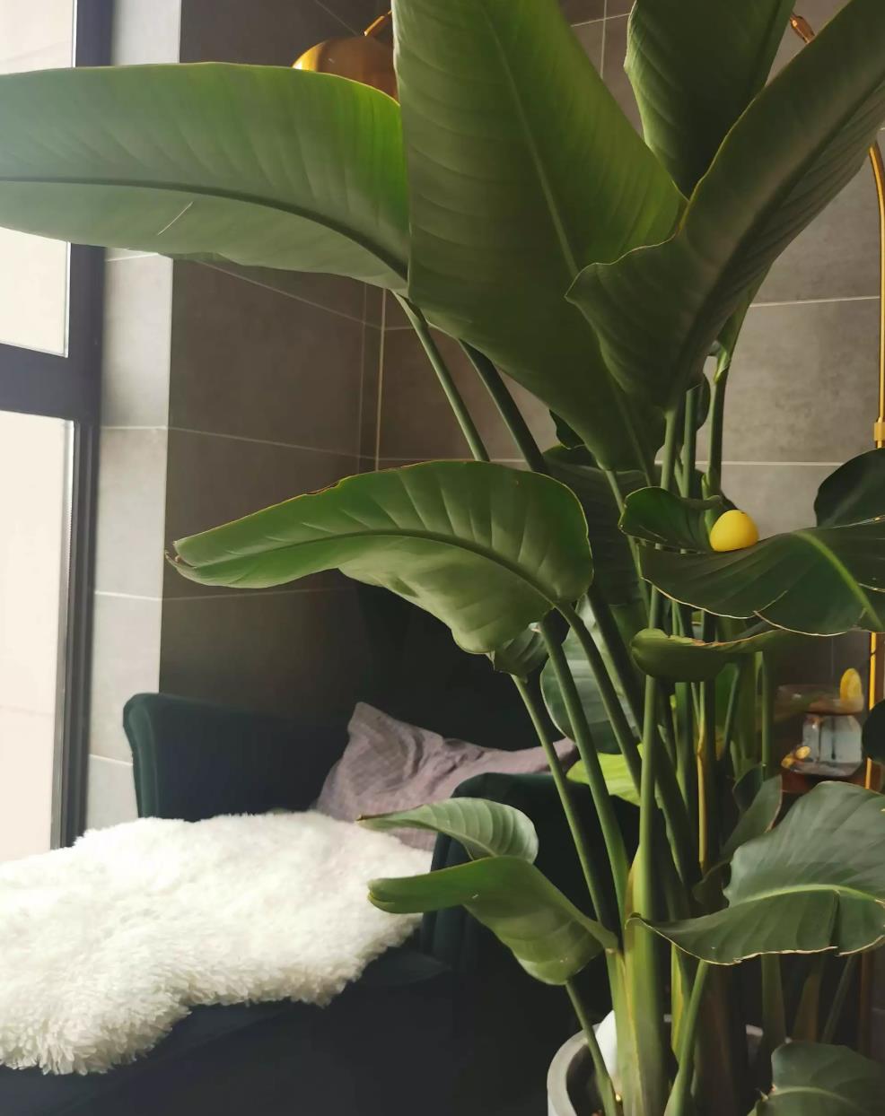 他自嘲“眼高手低”,却愿意花费一年时间自学装修,完工后很值得