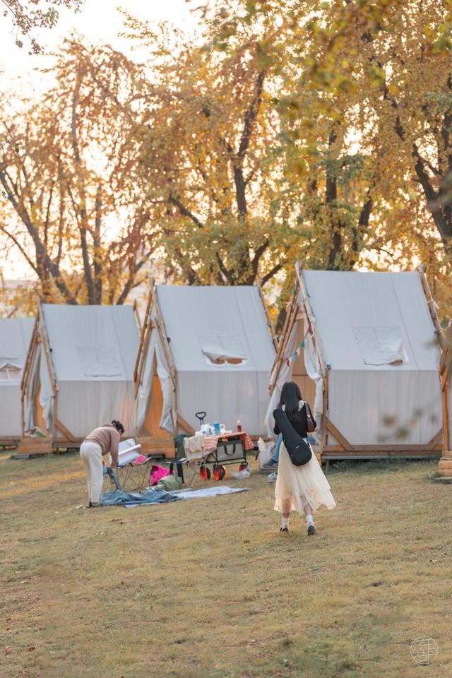 马鞍山森林公园|全武汉最大的地肤花海红了!快来打卡