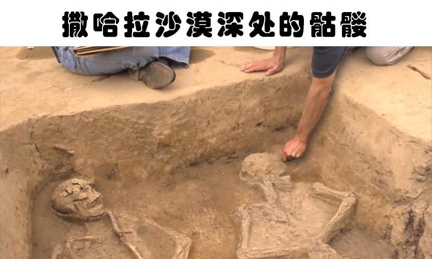 撒哈拉沙漠发现怪异的骷髅?在世界各地沙漠中获取的5个奇怪发现