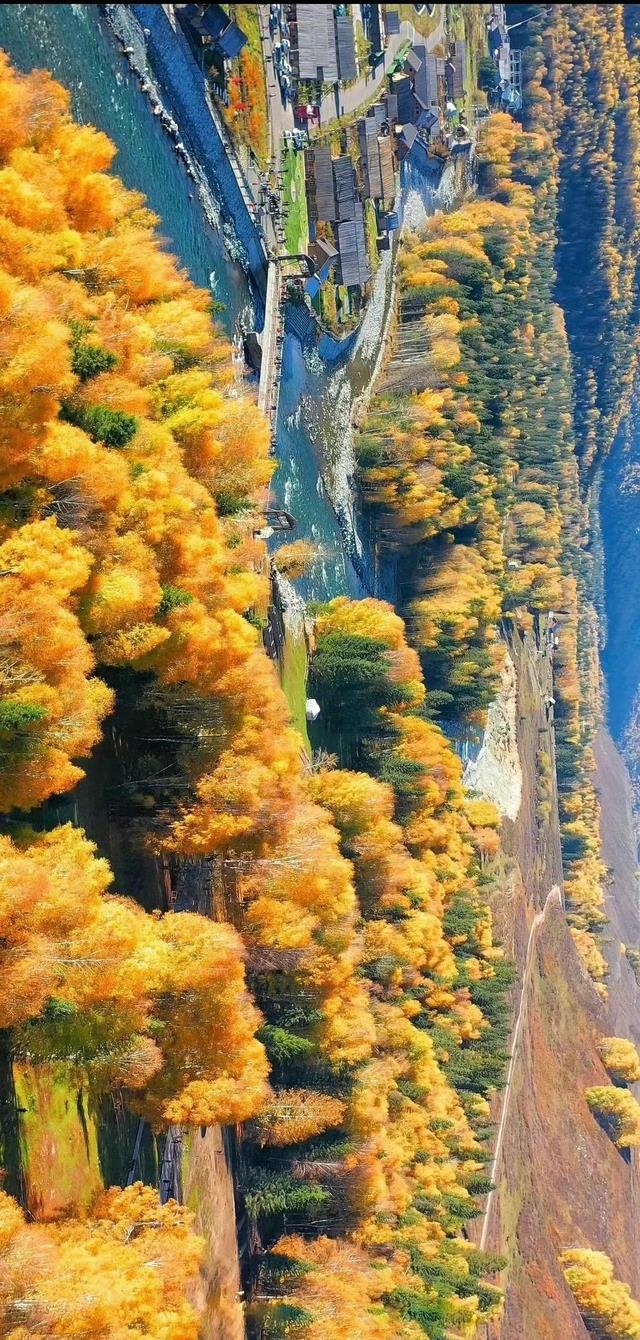 喀纳斯|遗憾!喀纳斯深秋已至却无人问津,这一定是近10年来人最少的一次