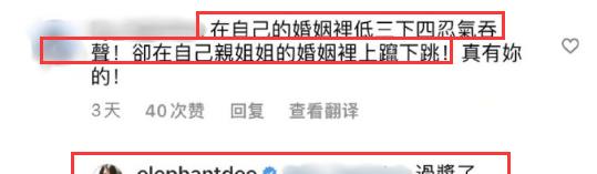 小S|小S被网友集体吐槽，自己婚姻中忍气吞声，姐姐大S婚姻里上蹿下跳