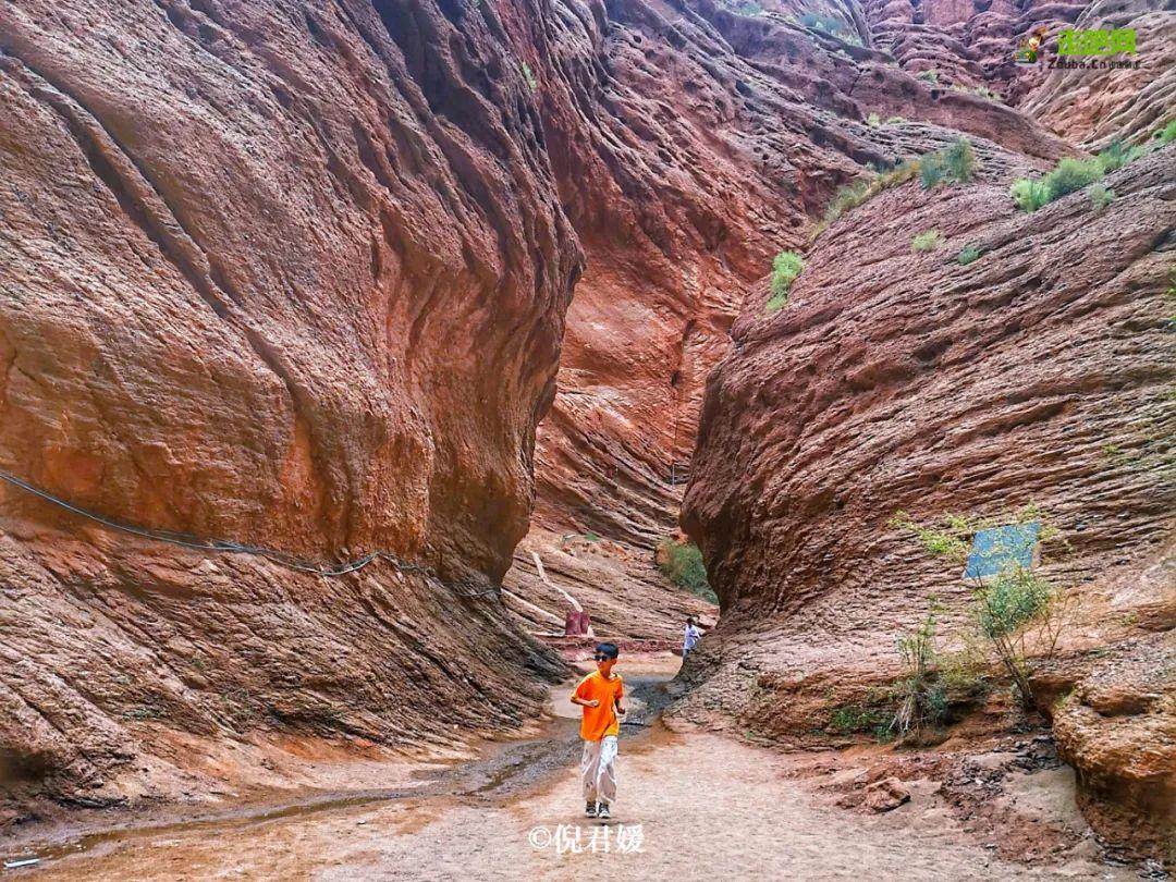 旅行|退休女教师单人单车在路上，美景应接不暇，忙得忘记了孤单