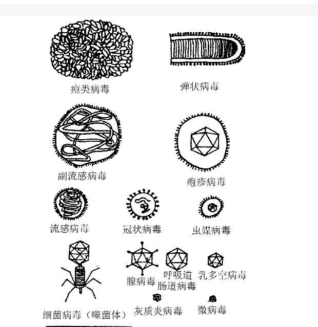 大自然的报复?青藏高原中发现的28种新病毒,到底意味着什么?