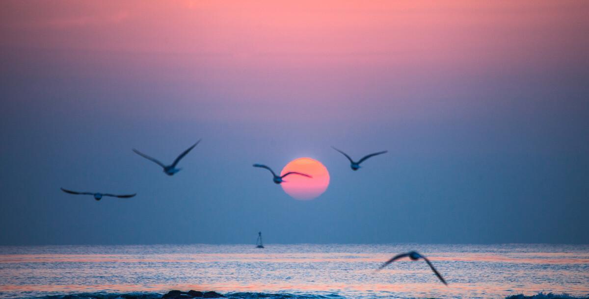 鲢鳙|一个人有没有福报,到了40岁就能看出来了,就在这两个地方