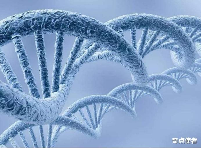 世界最长寿男性去世,差半个月就113岁,科学家称发现“永生”秘密