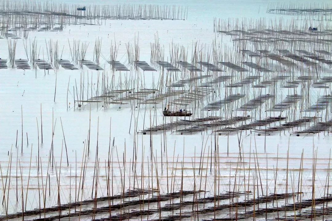 霞浦|一旦去了霞浦，其他地方都成了将就。