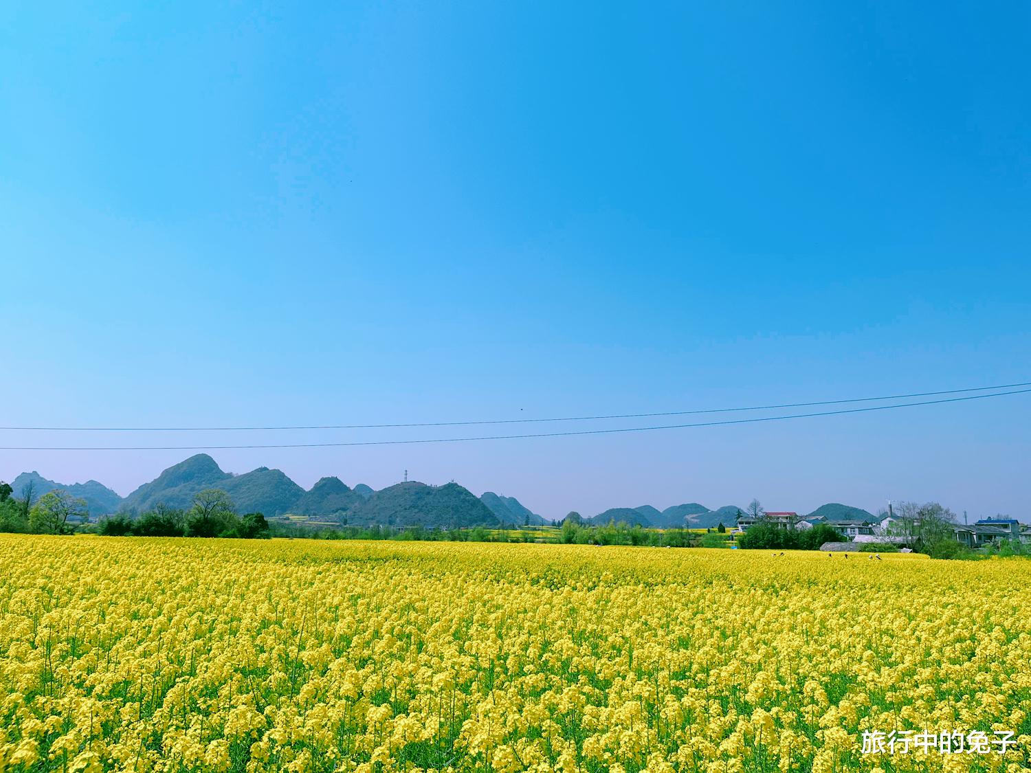 安顺|比“中国凉都”还舒服的城市，适合养老和避暑，物价房价低美食多