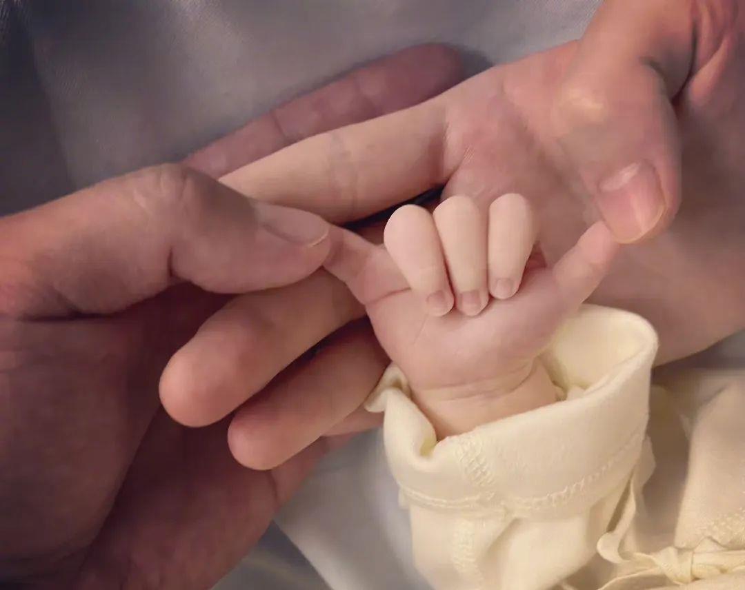 迪丽热巴|赵丽颖，杨洋迪丽热巴，《梦华录》，赵樱子，郑恺