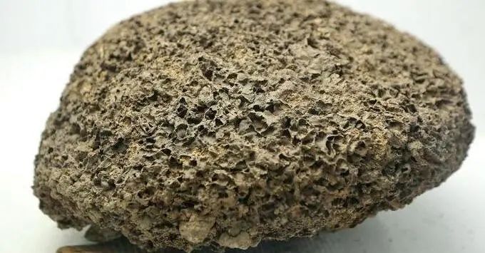 人力资源|我与知识管理的故事:愿意一辈子去做的一件事(2)