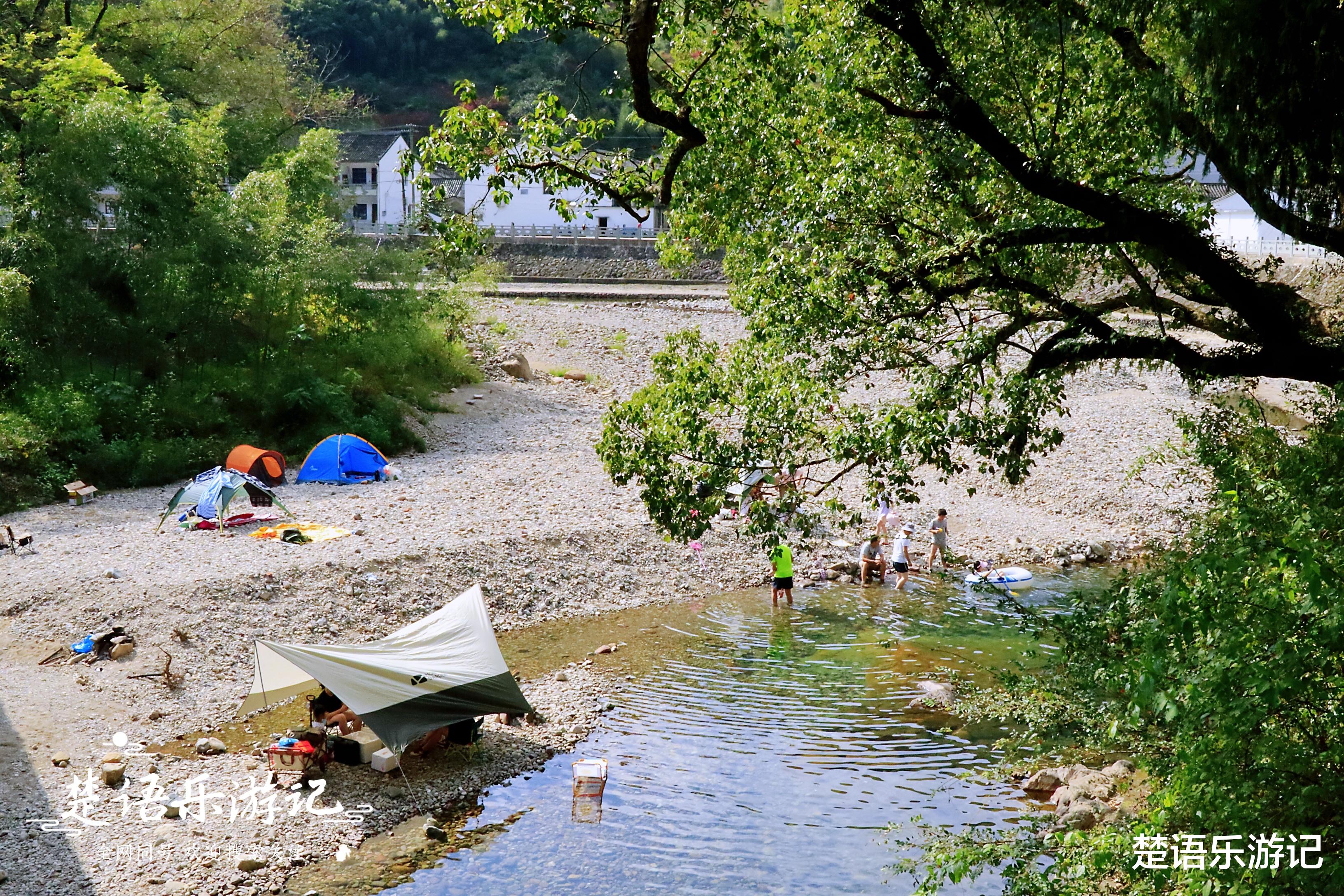 美丽|余姚这个古村竟有三处玻璃道，林密竹茂成消夏佳地，随你怎么玩