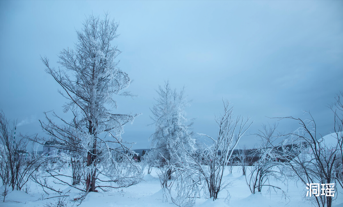 |中国-58℃的村庄,当地人只工作5个多月,上厕所要带着棍