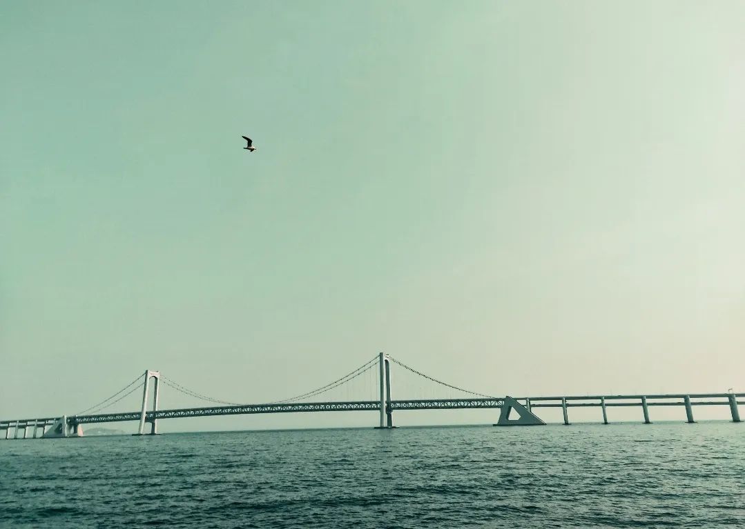 贵州|想去大连看海了