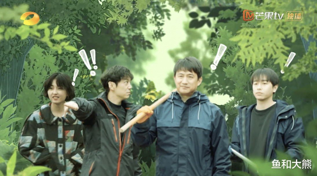 张子枫|张子枫事件持续发酵,小三言论不胫而走,已有人喊其退出《向往6》