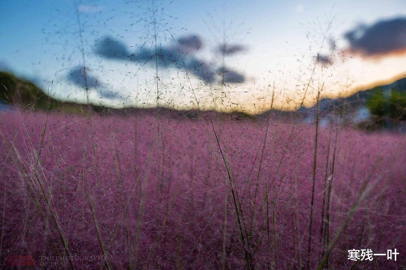 浙江省|国庆假期浙江象山怎么玩?大美景色、肥美海鲜、个性住宿,都在这