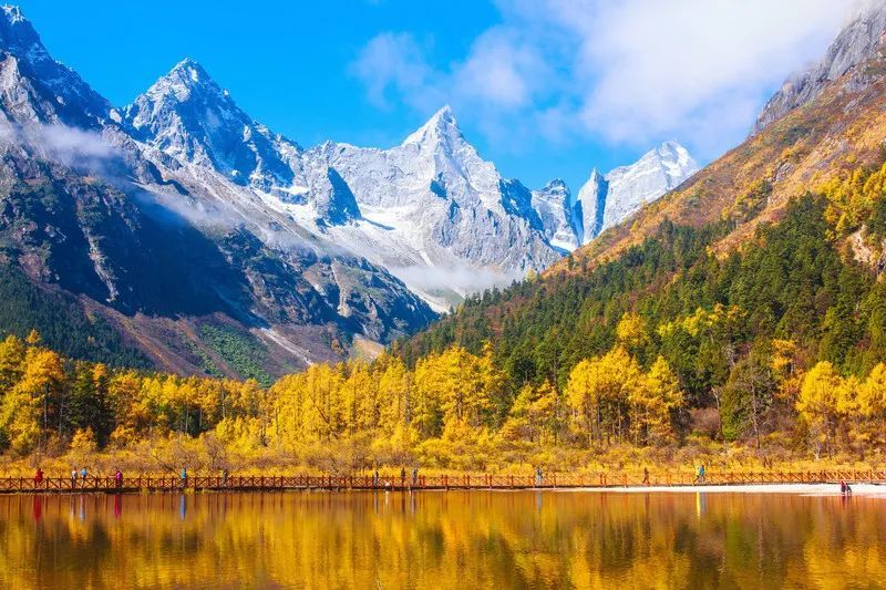 九寨沟|金秋九寨，美的像天神的后花园