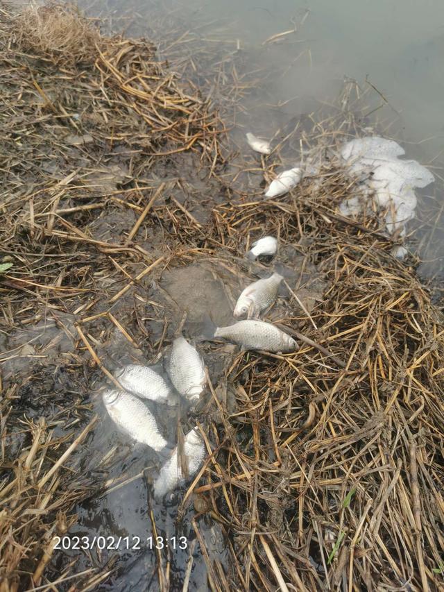 |作钓、考察又做酒米，钓鱼人的生活乐趣多多。