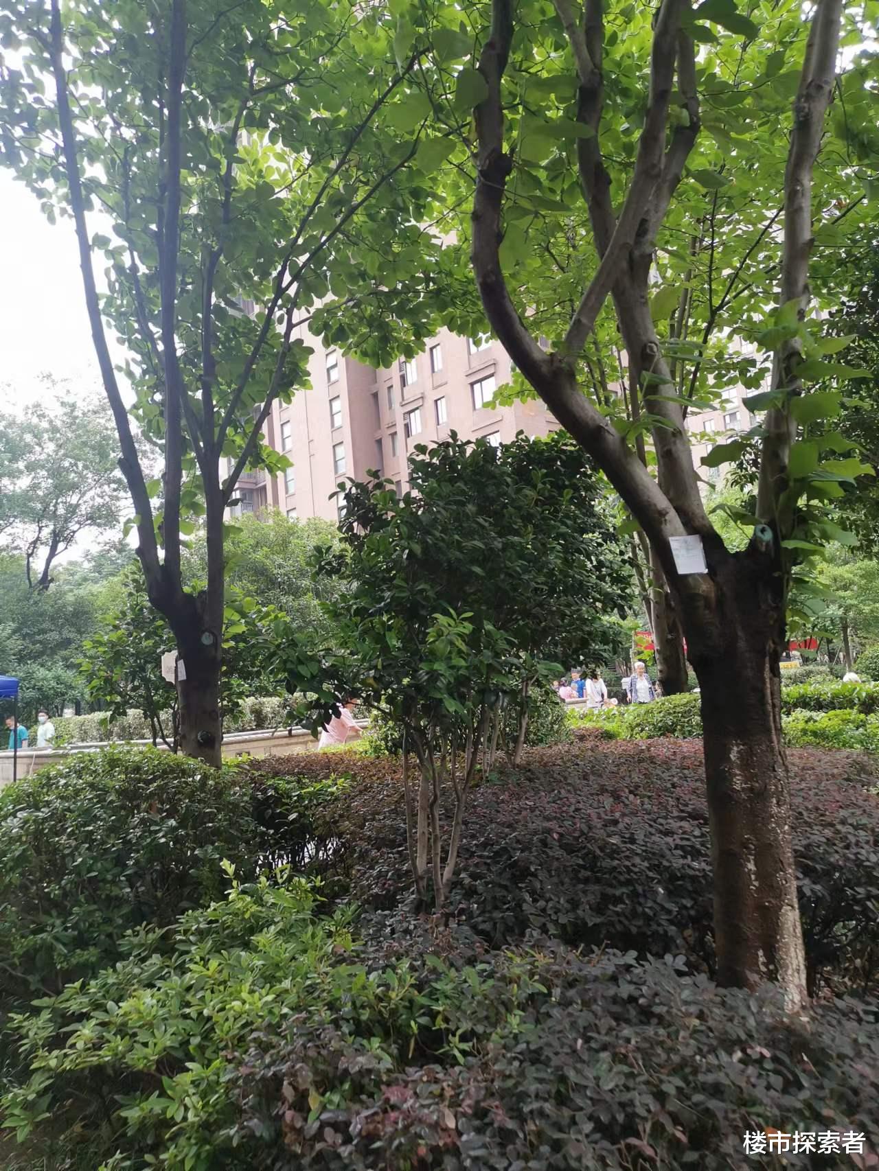 房价|天天说房价要跌的专家和学者，其心可诛