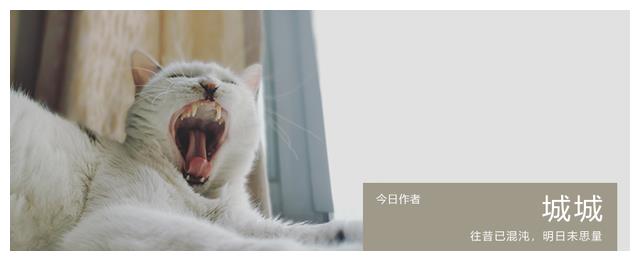 磨西古镇|地震前两个小时,她拍下了震中最美的雪山