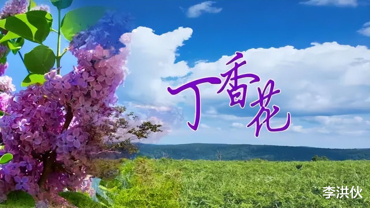 唐磊|《早安隆回》火了，只有一首《丁香花》的唐磊酸了