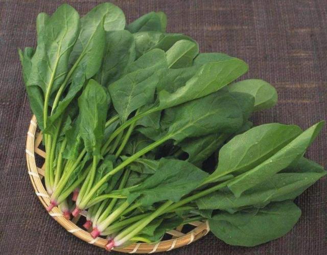 这2种常见的蔬菜,癌细胞讨厌,值得在家栽种,新鲜健康无污染