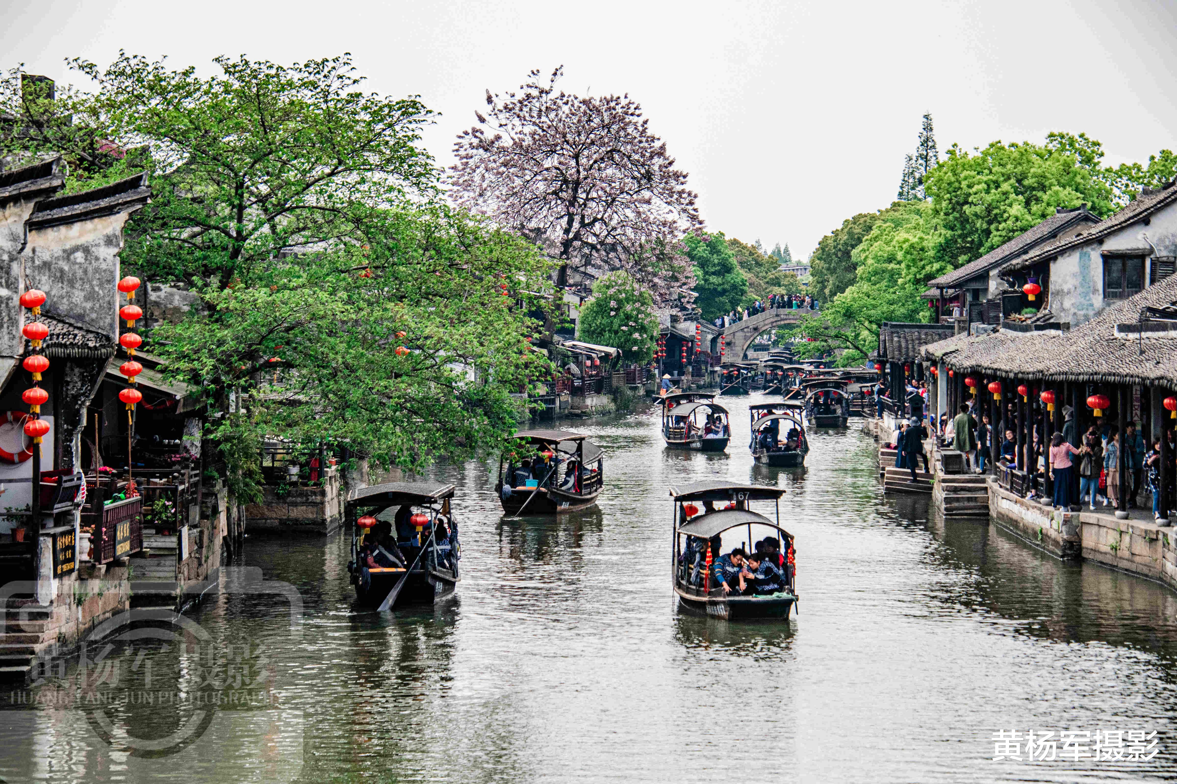 西宁|浙江不可错过的宝藏小镇，地处江浙沪水网地区，民风淳朴适合漫游