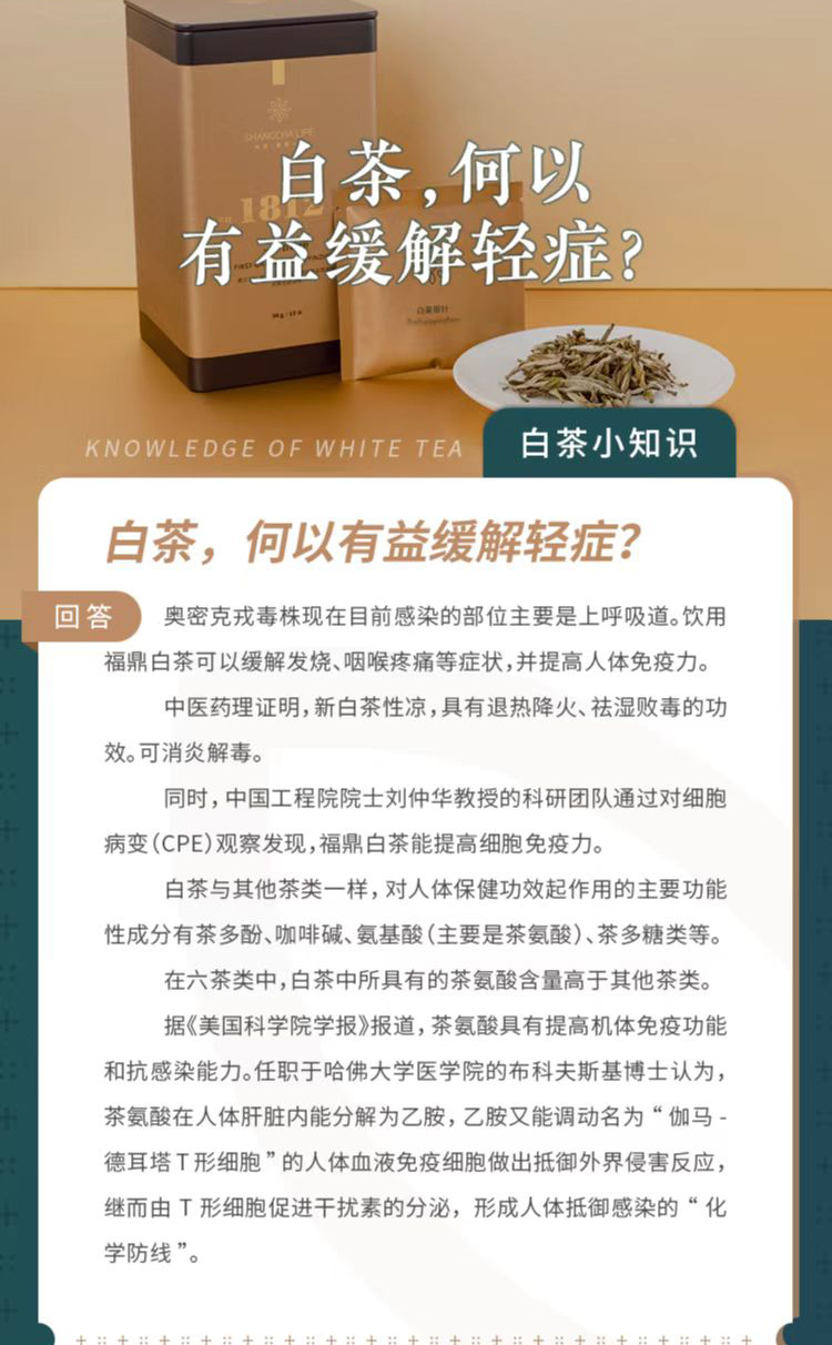 黄桃|白茶,何以有益缓解轻症?