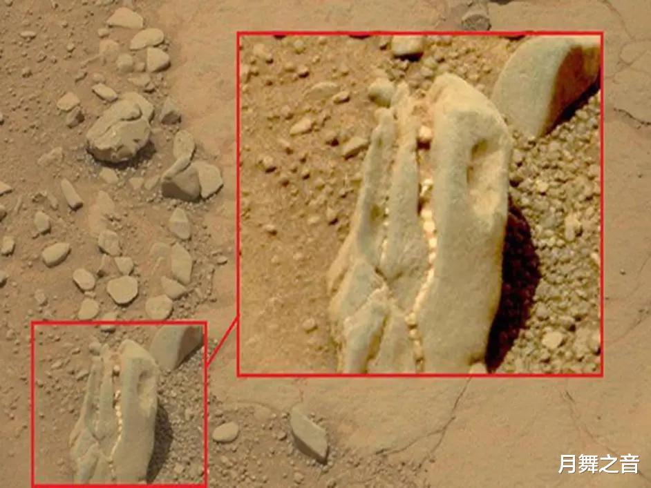 火星真的存在生命,火星发现恐龙古化石?