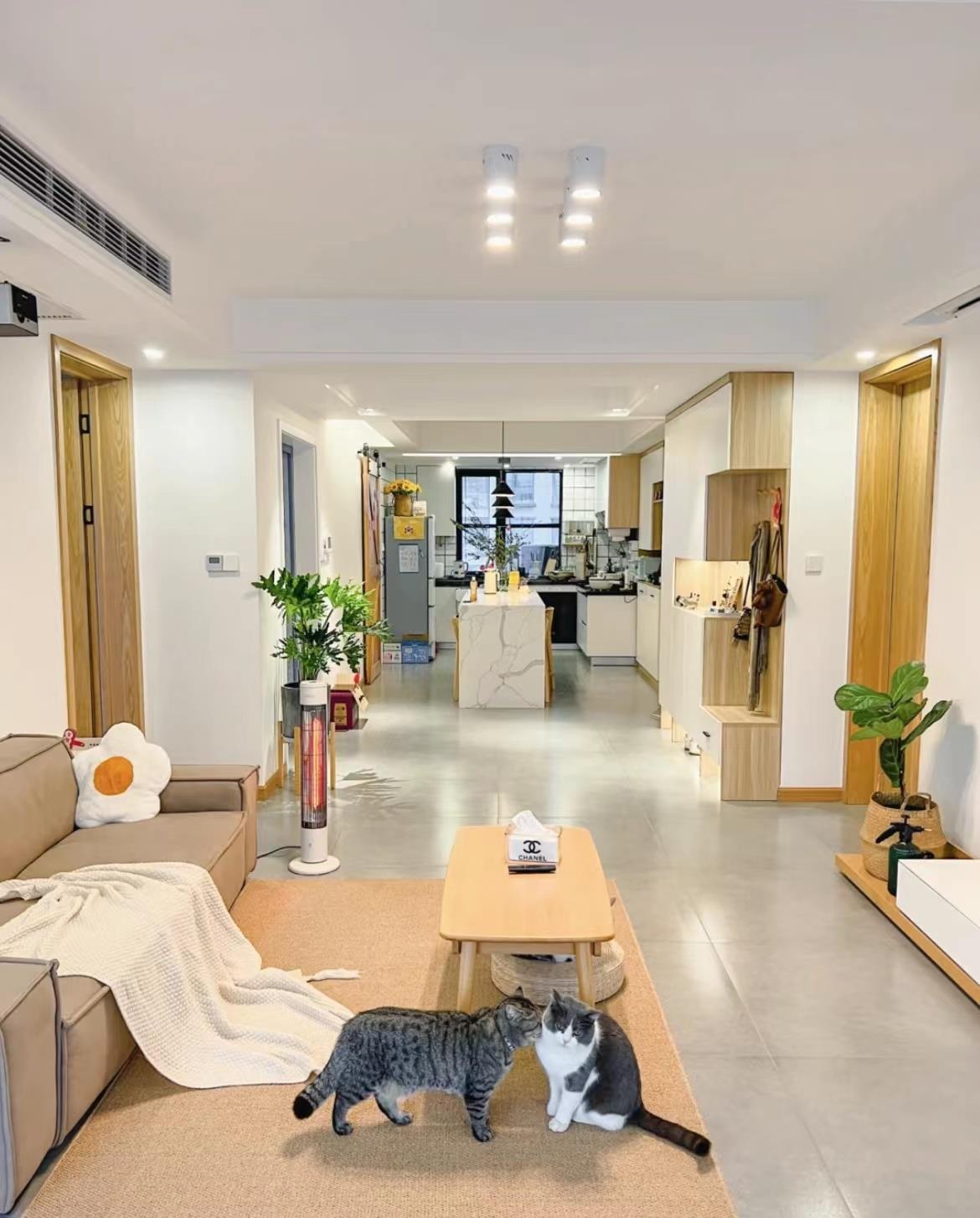 浙江发现一户人家的装修,因太会布置而走红,获得上万人关注