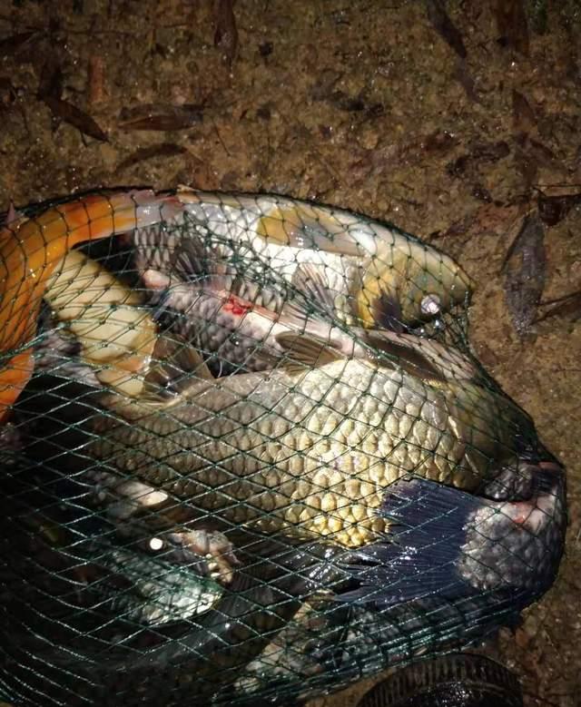 |浅谈深秋野钓的天气,选对出钓时机可事半功倍