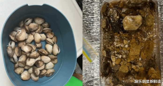 郭晶晶|霍启刚五口赶海!郭晶晶带3孩子捡贝壳,母女绑1元头绳太朴素