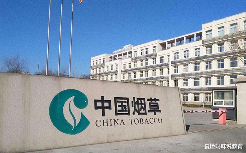 大学生|烟草局有多难进？有些学生“暗箱操作”仍未被录用，原因很心酸