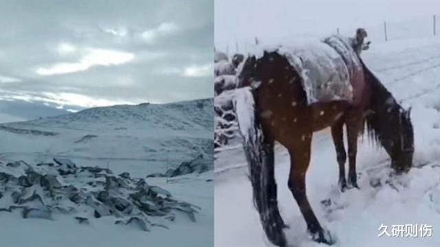 8月我国多地飞雪,地球怎么了?罕见“三重”拉尼娜重现拉响警钟